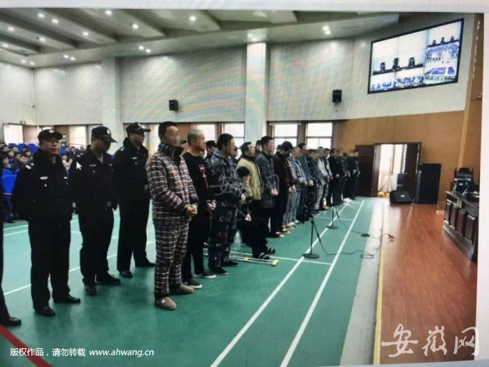 合肥涉黑涉恶重点案件线索核查,7人落网合肥一涉黑团伙被摧毁