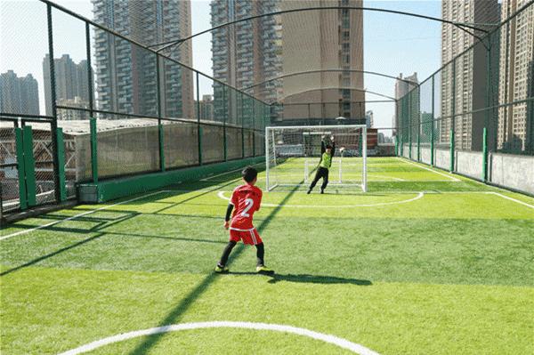 佛山口碑最好的中学,佛山最好学校排名