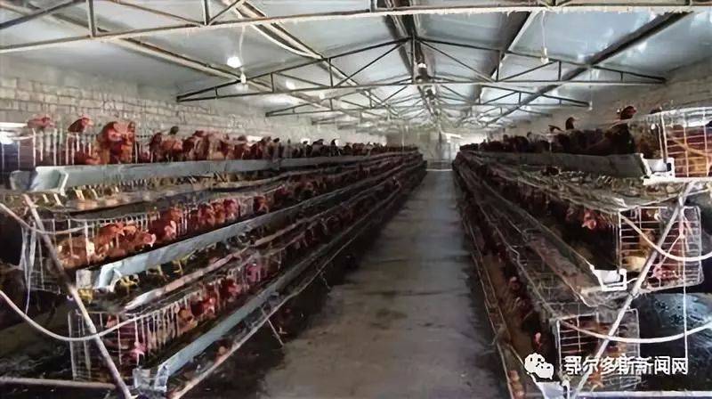 达拉特旗农村的最新规划,达拉特旗农业