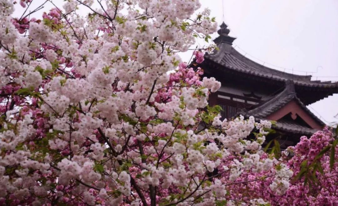 西安最美公园秋景图片,西安动物园旅游手绘示意图