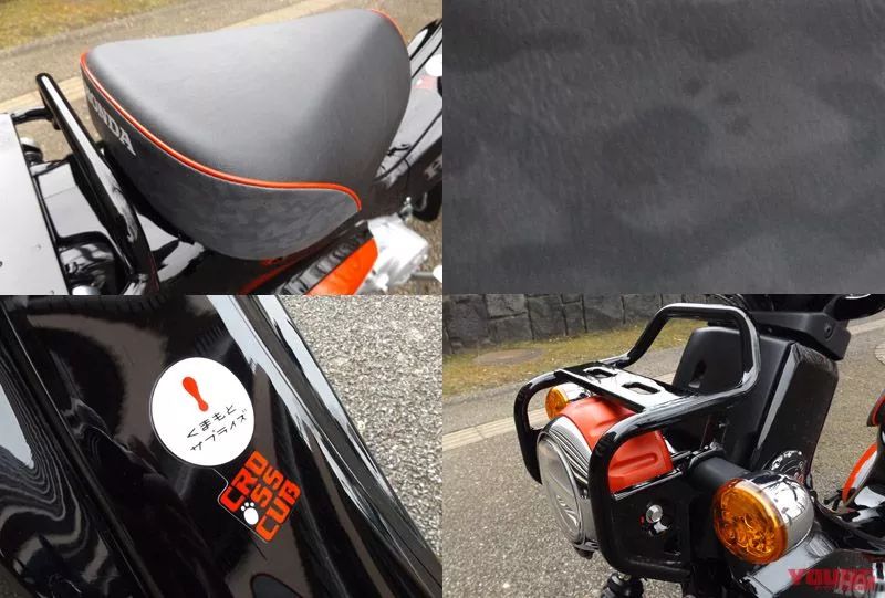 熊本熊版本幼兽,幼兽熊本熊