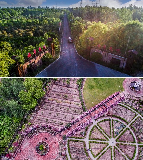 崇明好的民宿树屋,上海崇明农庄民宿