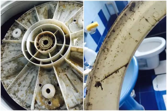 清洁工最强天团,史上最强清洁队