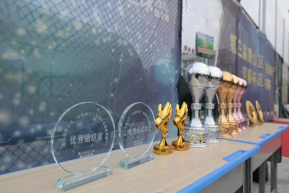 2023年合肥春芽杯篮球赛参赛队伍,蜀山区2020年篮球比赛