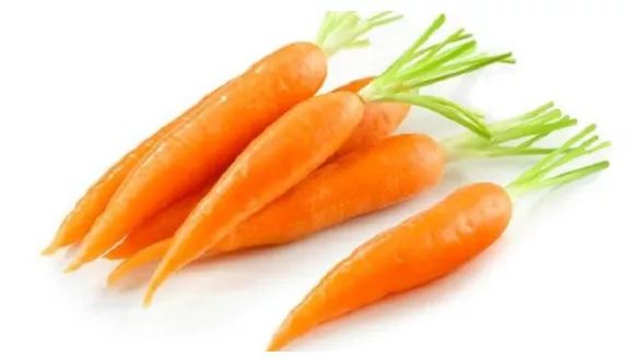 水产饲料成分说明,海水饲料