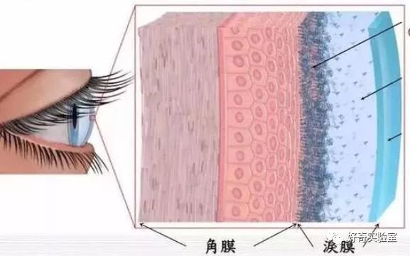 如何将电脑显示器垫高,电脑显示屏垫高有用吗