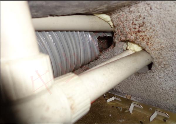 房间里进了老鼠什么办法抓最好,住高层老鼠怎么消灭