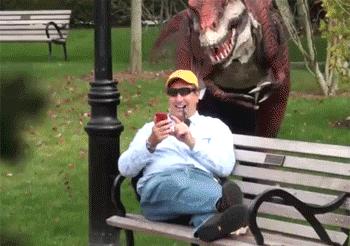 怎样养一只宠物霸王龙,怎么养一只霸王龙