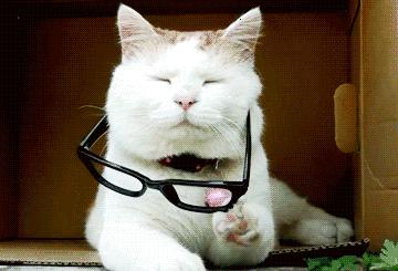 led灯伤眼吗,led灯伤眼