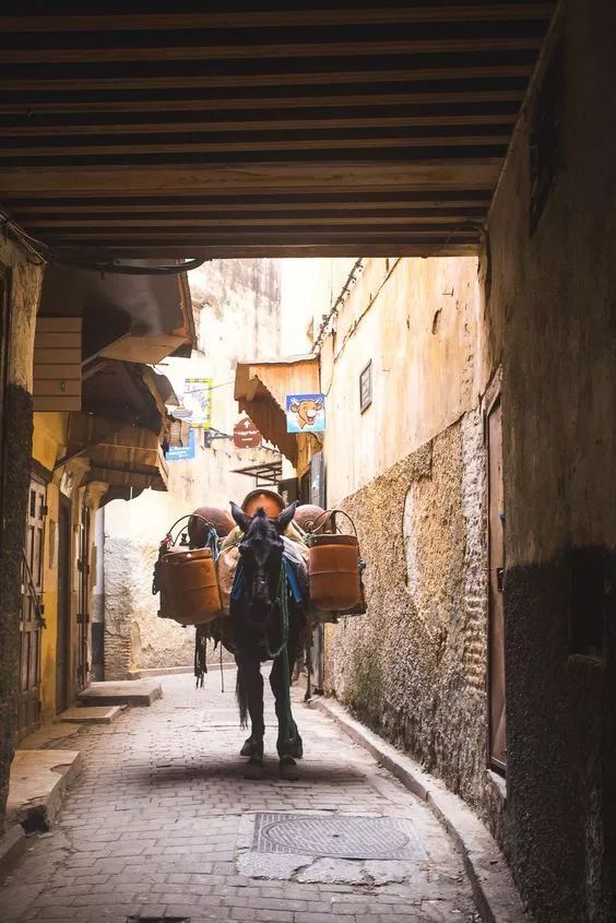 非洲有座很臭的城,却是“好色者”的天堂