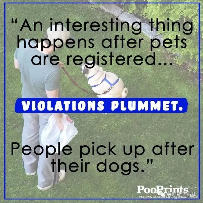 如何劝遛狗不铲屎的人铲屎,遛狗不铲屎有权打狗吗