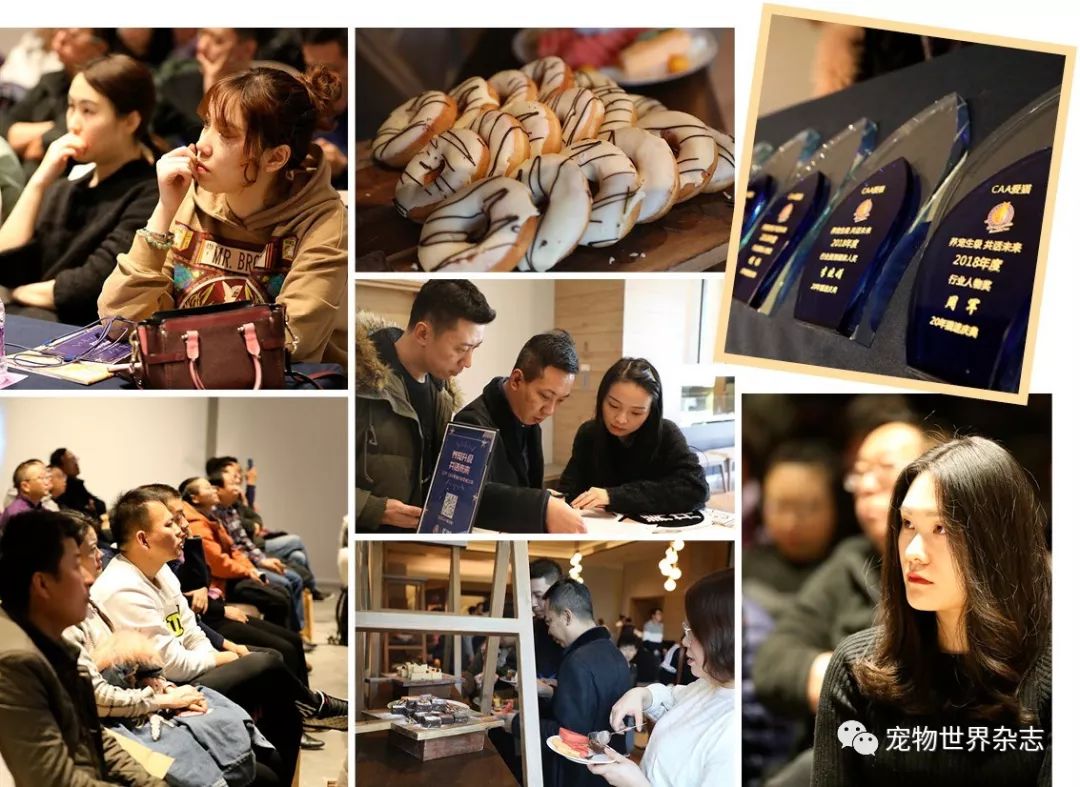 养宠知识分享有问必答,养宠知识普及