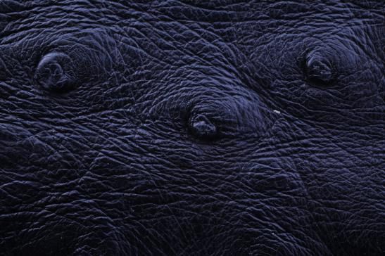 今天请允许我“皮”一下