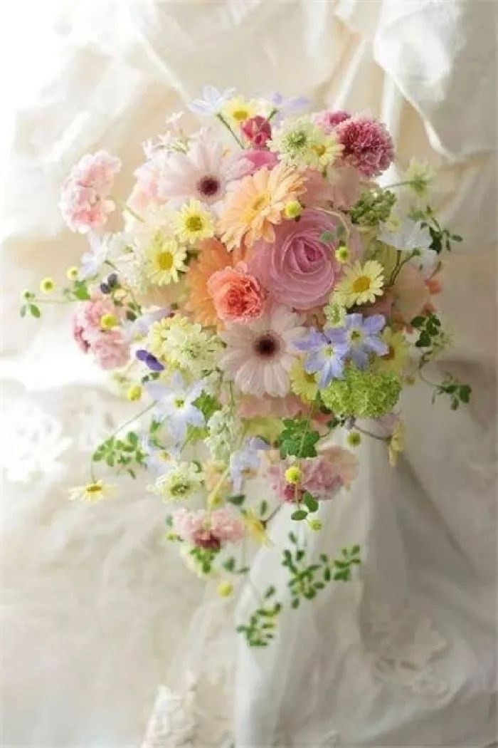 神奇的中文十人有九人读错,神奇的中文10人读9人读错