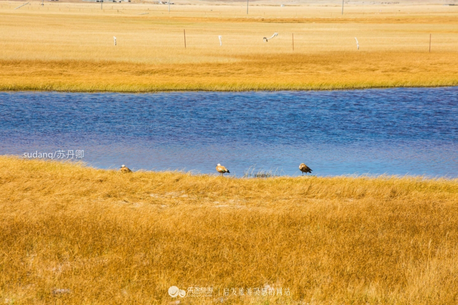 去过阿里才算是真正西藏,为什么一定要去西藏阿里