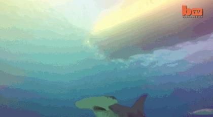 被北极熊追杀，抓拍鲨鱼咬向自己的瞬间……68岁摄影师玩命告诉你：为什么外国人这么少？