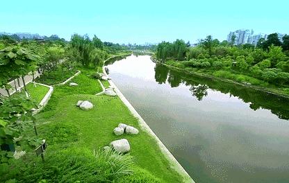 双流红枫海在哪,红枫湖风景区开放时间最新消息
