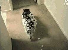 洗衣服神器洗衣球,洗衣神器魔力球洗衣液