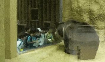 火锅的九宫格是几种口味,火锅的九宫格的作用