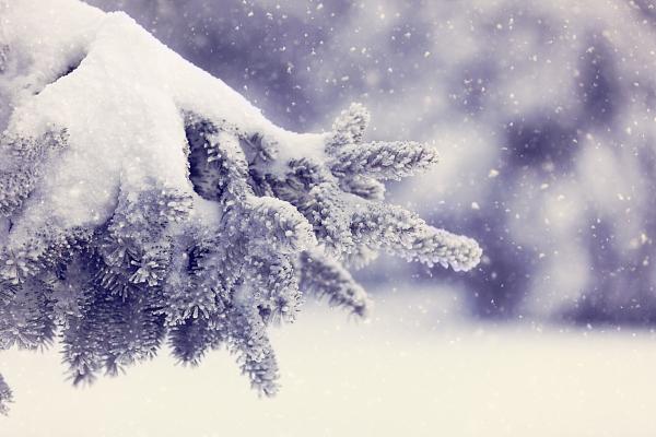 济南的冬天山水美在哪里,济南的冬天是个美丽的地方