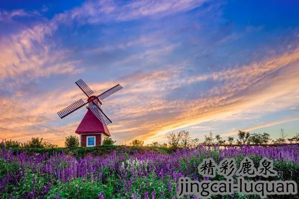 2018鹿泉的“政府帐本”来了！