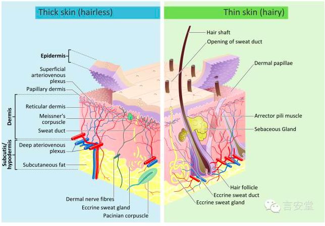 药师讲痘痘视频,药师说痘痘