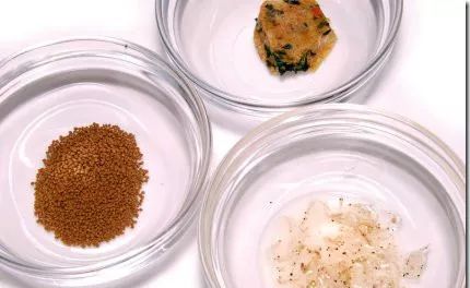 怎样处理鱼,怎么处理各种各样的鱼