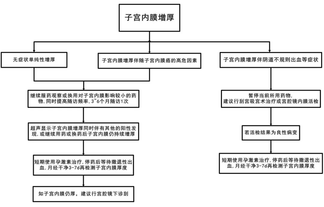 乳腺癌随访指南,中国乳腺癌诊疗规范