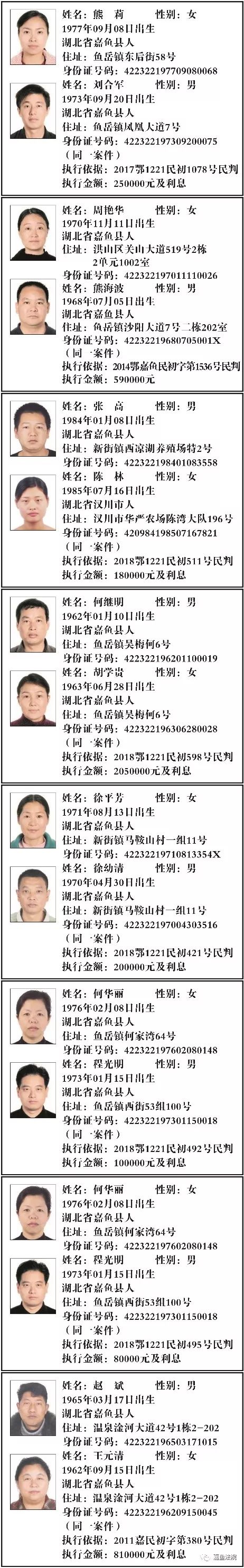 欠钱名单2020湖北咸宁,最高欠款260万元