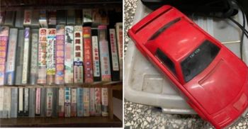 太阳花女王刘乔安微博,女明星刘乔安简介及照片