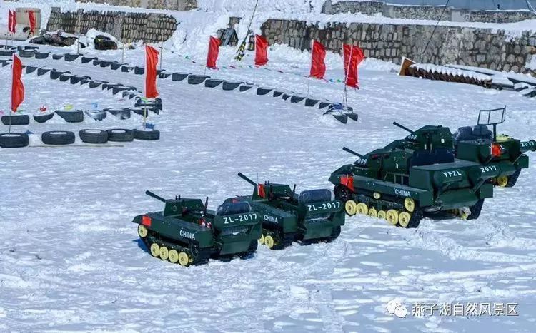 北京哪个公园玩冰雪好,北京冰雪嘉年华游玩攻略