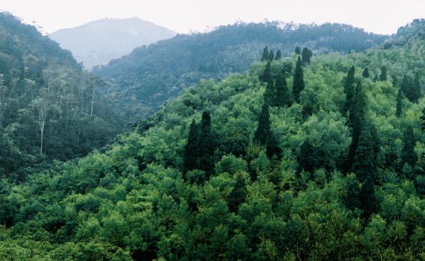 适合踏春的景点厦门,厦门春季旅游攻略