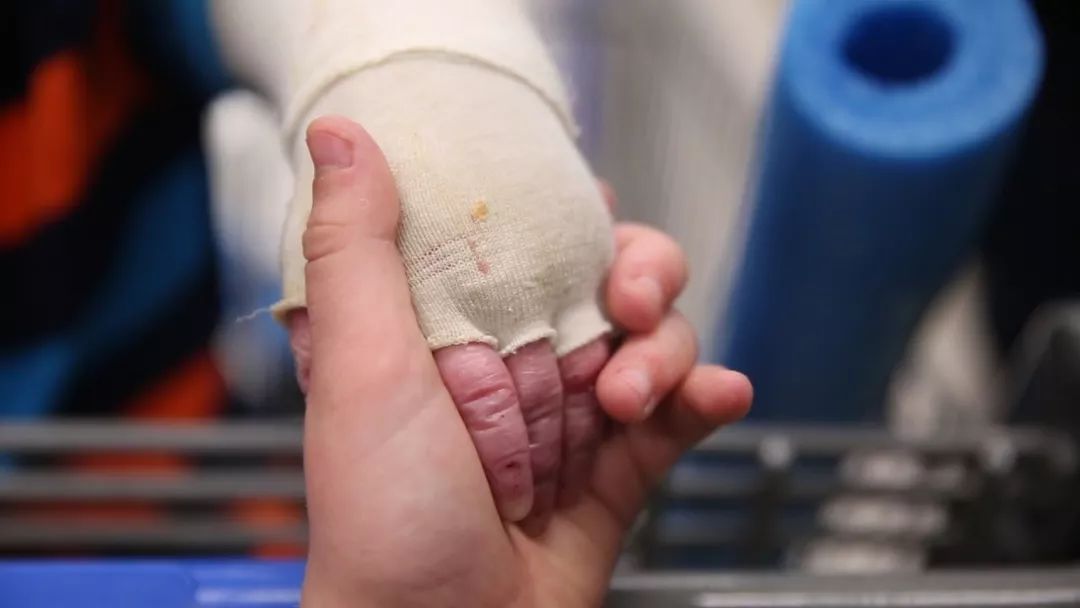 「意·关注」死去的儿子被人工智能“复活”!比起高兴,她更多的是害怕