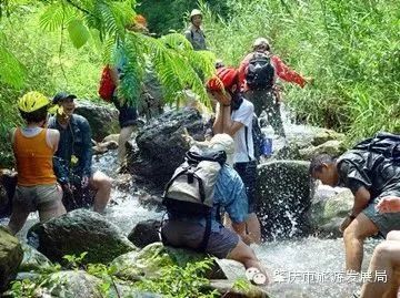 来吧！侧田、黄凯芹邀你到鼎湖一起过大年！