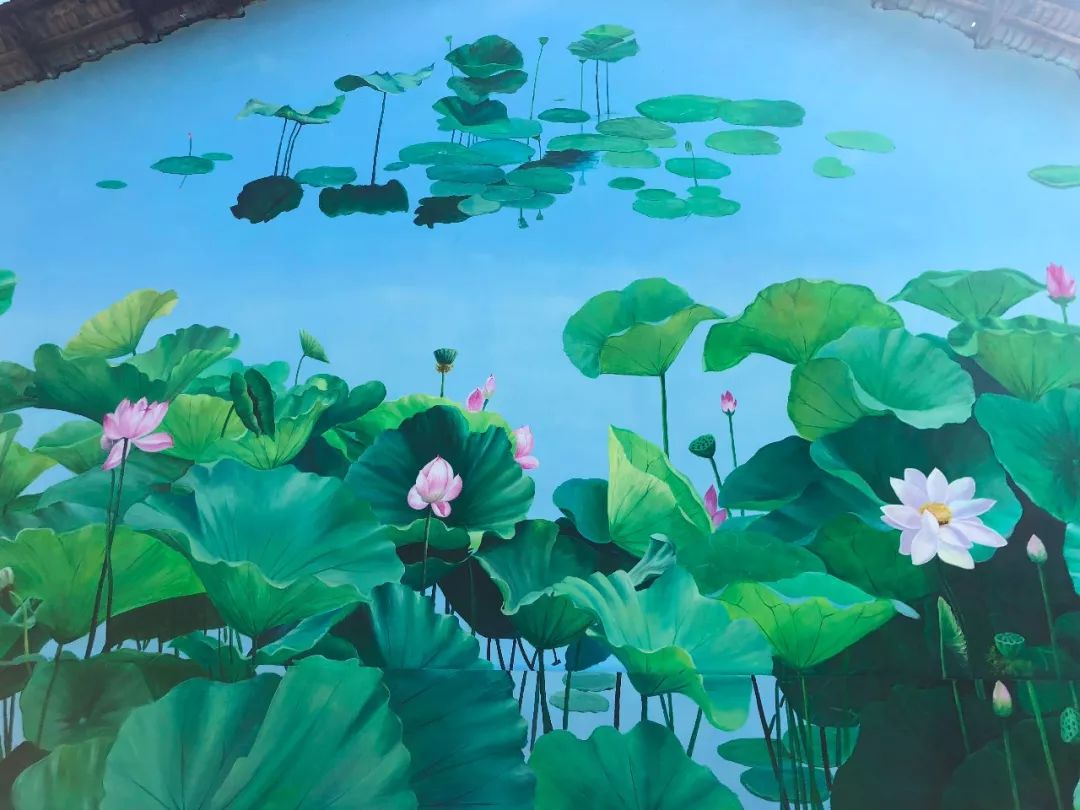 武汉竹叶海湖生态湿地公园,武汉东湖绿道湿地公园