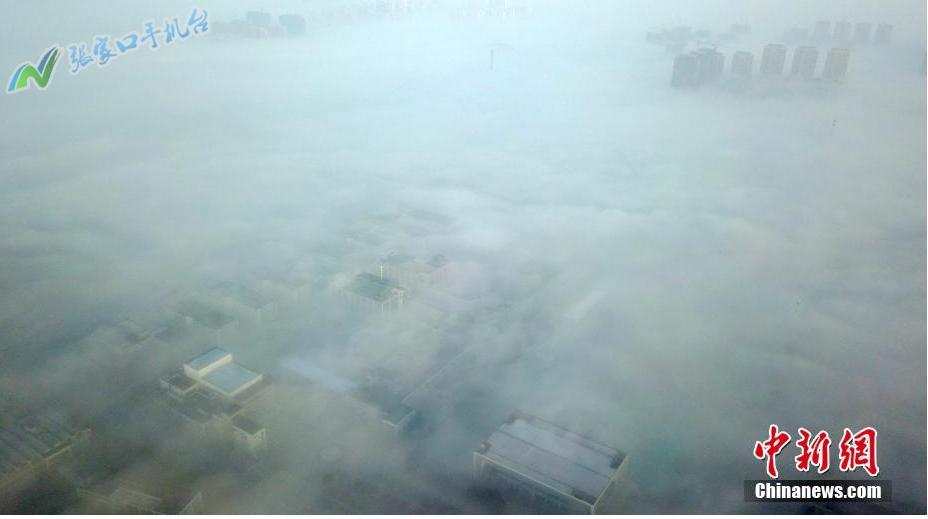 张家口新闻头条第一时间,张家口新闻广播今日头条