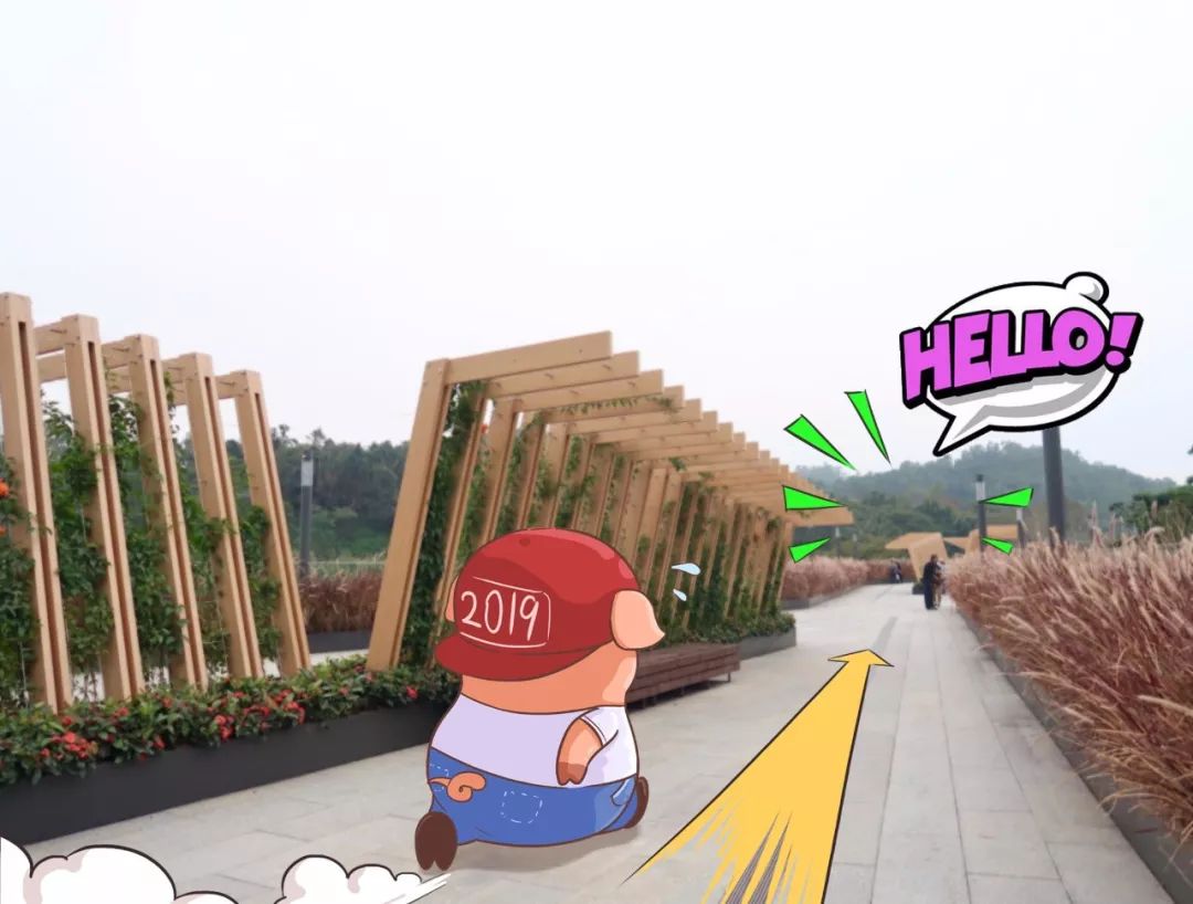 新春打卡领取好运,新春打卡大礼包