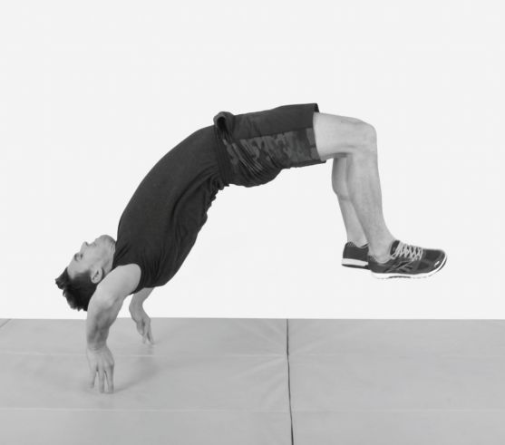 教你鲤鱼打挺,学一招鲤鱼打挺