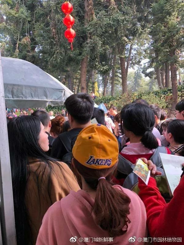 人从众第四个字怎么念,人从众什么意思