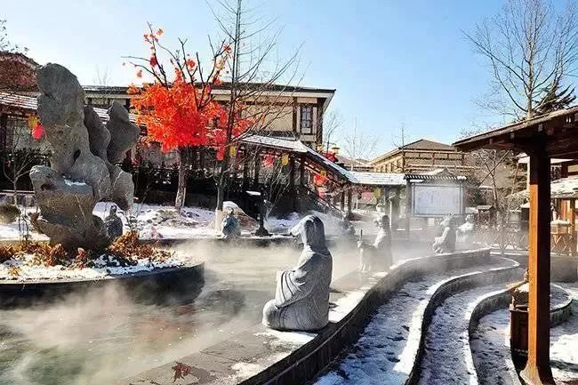 大连摘草莓一日游,大连摘草莓适合去的地方