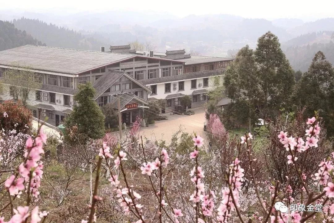 金堂赏花最佳地点时间,金堂赏花之梨花篇