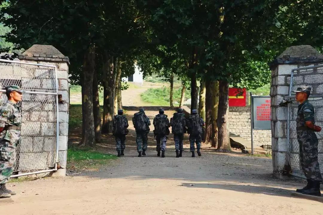 关注退役军人了解更多知识,关注军人