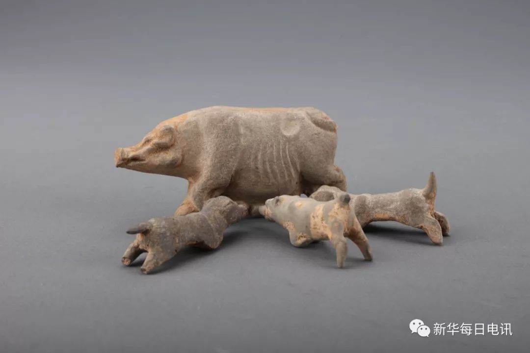 猪年的吉祥物叫什么,寻找鼠年吉祥物