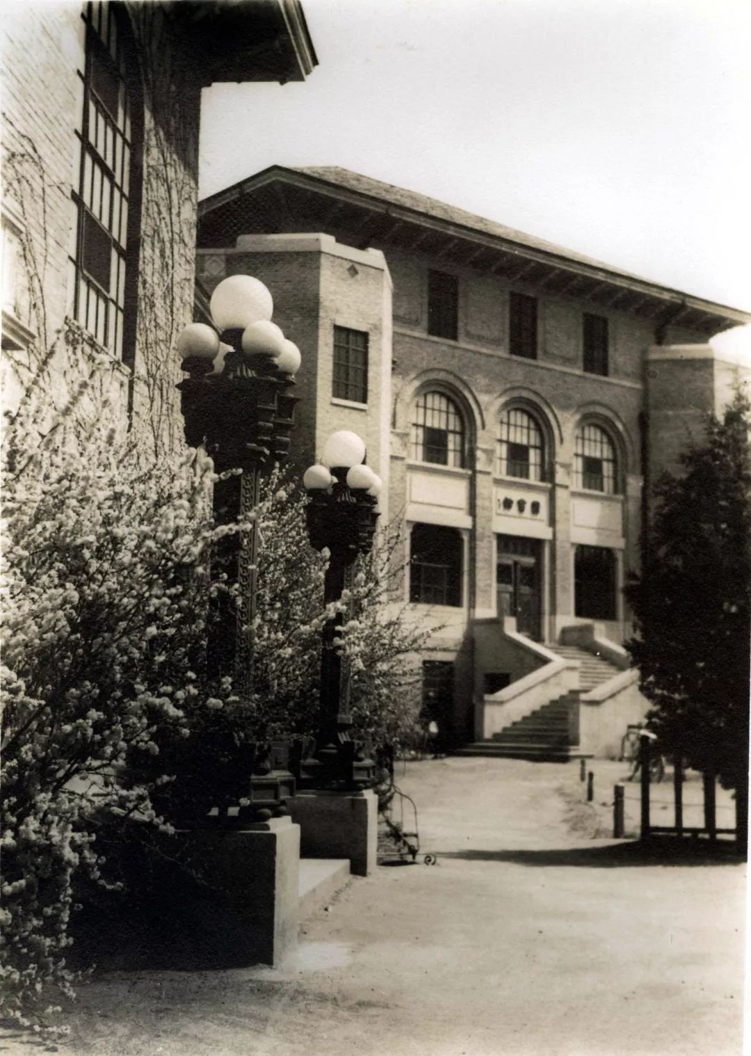 清华影像,影像大学