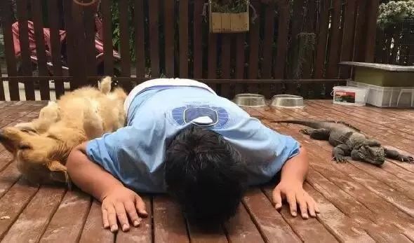 立春后忽冷忽热好吗,立春后还有寒气吗