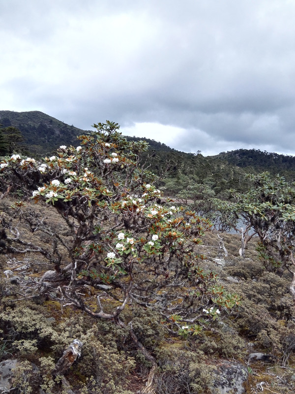 飞拉达攀岩金刀峡,老君山飞拉达攀岩有安全绳吗