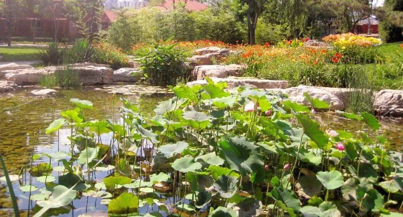 北京免费公园景点大全,北京爬山十大免费景点