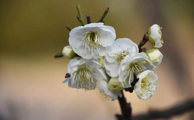 假期没玩够文旅,春节假期没有好好享受