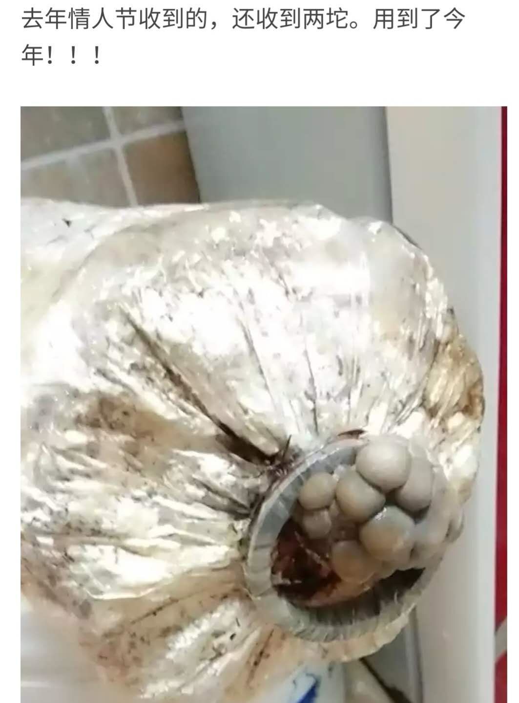 情人节最让人感动的礼物,情人节最走心最震惊的礼物