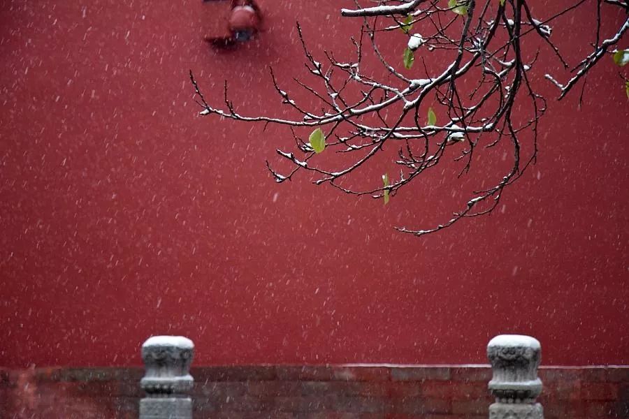 夜读身处低谷时不妨看看这8句话,夜读在人生的低谷中安然前行